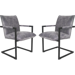 HSM Collection HSM - -Eetkamerstoel Boston S|2-56x68x89-Dolfijn