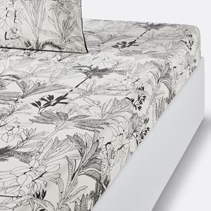 LA REDOUTE INTERIEURS Hoeslaken in perkalkatoen, omslag 30 cm, Palmeira