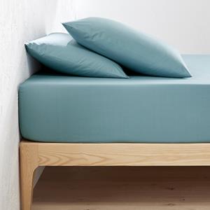 LA REDOUTE INTERIEURS Hoeslaken in bio perkalkatoen Scenario