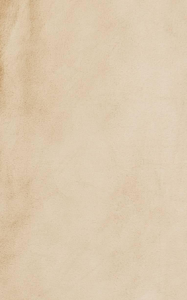 Bakero Vloerkleed Mollis handgemaakt | 