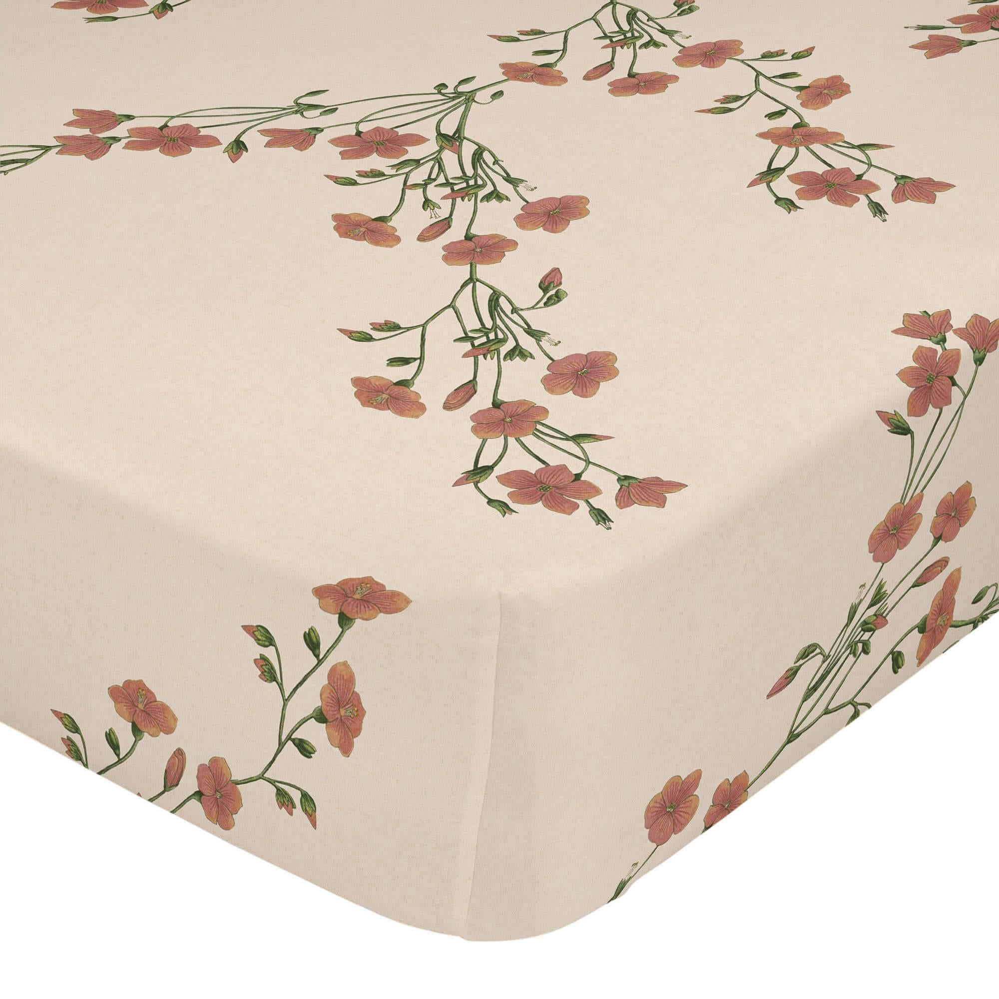 Happy Friday Hoeslaken Zinnia | 