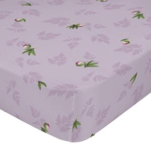 Happy Friday Hoeslaken Tulip &VerticalLine; 