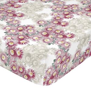 Happy Friday Hoeslaken Lily &VerticalLine; 