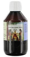 Holisan Pancha Guna Taila 250ml