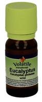 Eukalyptus, Wild ätherisches Öl