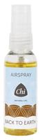 Chi Back To Earth Airspray Petfles (50ml)