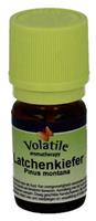 Volatile Latchenkiefer 5ml