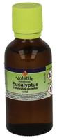 Volatile Eucalyptus Wild