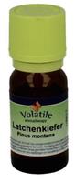 Volatile Latchenkiefer 10ml