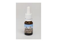 Seven essentials Pyramides van Gizes 10ml