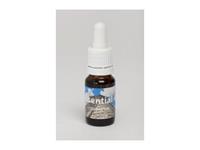Seven essentials Chichen itza 10ml