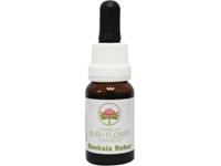 Australian Bush Banksia robur 15ml
