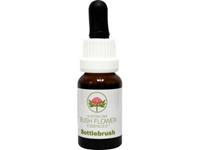 Australian Bush Bottlebrush 15ml