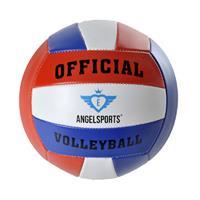 Volleybal official size