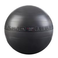 Pure2Improve Gym Ball 65cm