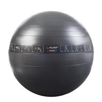 Pure2Improve Exercise Ball