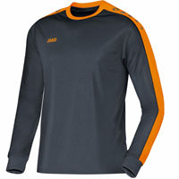 Jako Jersey Striker L/S - Sportshirt Junior Grijs