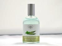 Green Tree Kamerspray Mint Eucalyptus (100 ml)