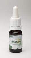 Star remedies Dotterbloem 10ml