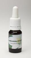 Star remedies Komkommerkruid 2 10ml