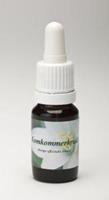 Star remedies Komkommerkruid 10ml