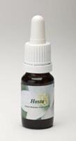 Star remedies Hosta 10ml