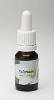 Star remedies Valeriaan 10ml