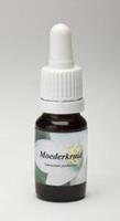 Star remedies Moederkruid 10ml