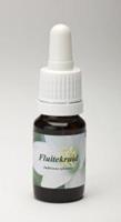 Star remedies Fluitekruid 10ml