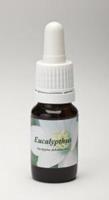 Star remedies Eucalyptus 10ml