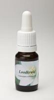 Star remedies Loodkruid 10ml