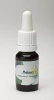 Star remedies Balans 10ml