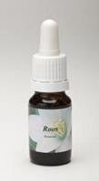 Star remedies Roos 10ml