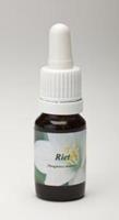 Star remedies Riet 10ml