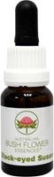 Australian Bush Black eyed susan 15ml