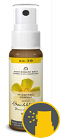 Lemonpharma bach Bach bloesems spray dag nr 39 20ml