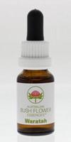 Australian Bush Waratah (15ml)