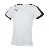 Puma Pitch Shortsleeved Shirt