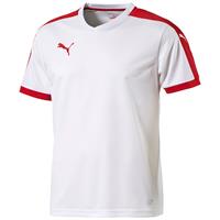 Puma Pitch Sportshirt - Heren - Wit 