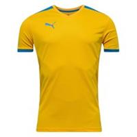 Puma Voetbalshirt Pitch Geel/Blauw