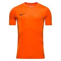 Nike Park VI Jersey Oranje