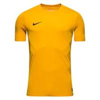 Nike Park VI Jersey Geel