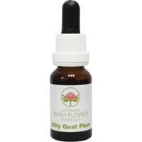 Australian Bush Billy goat plum 15ml