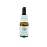 Australian Bush Red Helmet Orchid (15ml)
