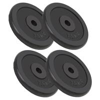 vidaXL Hantelscheiben 4 Stk. 30 kg Gusseisen Schwarz