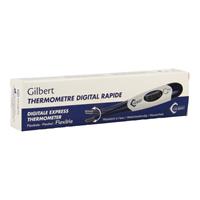 Gilbert digitale thermometer met flexibele tip