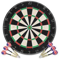 vidaXL Professionelles Dartboard Sisal mit 6 Darts und Surround Mehrfarbig