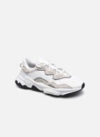 adidas  Sneaker OZWEEGO