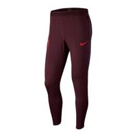 Nike Herren Dri-fit Pants FC Barcelona Strike, bordeaux, XL, XL