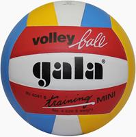 Gala Volleybal Mini Colour BV 4041S